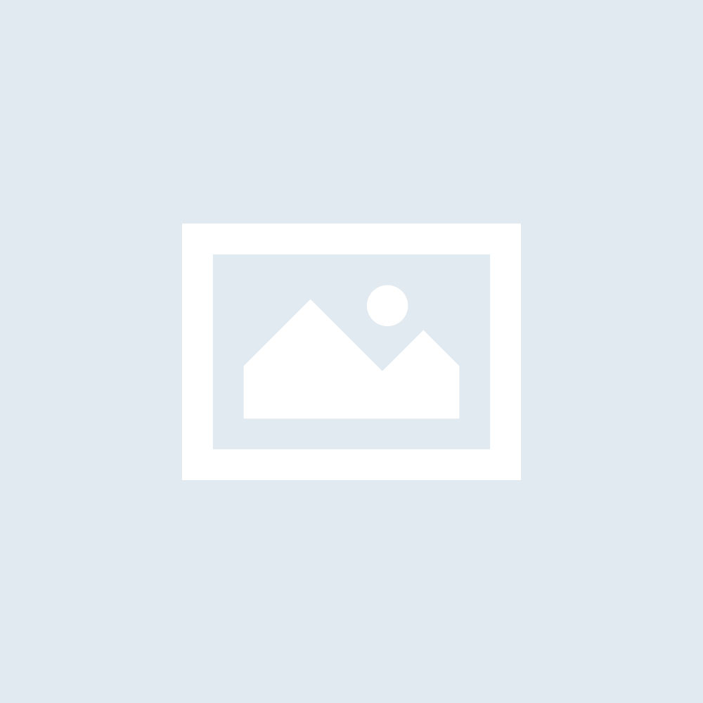 Song of the Day Guy Fox – Antique Furniture