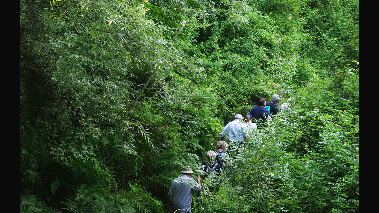 Un’Amazzonia in Calabria